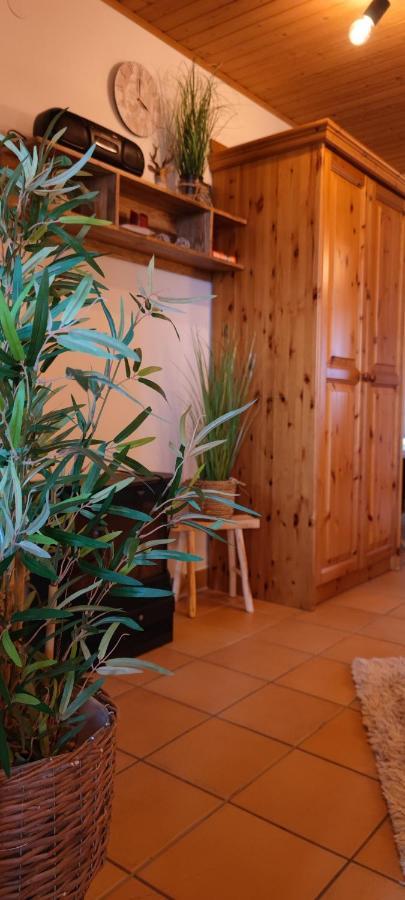 Familien-Garten-Suite Kanzelhoehe Gerlitzen - Gerlitzenurlaub At Kanzelhohe エクステリア 写真